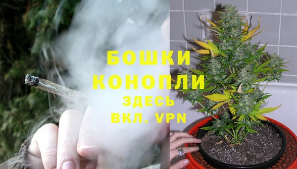 твердый Балахна