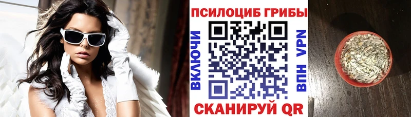 ОМГ ОМГ маркетплейс  Нижнеудинск  Галлюциногенные грибы Psilocybine cubensis 